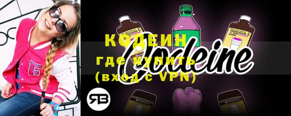 МДПВ Вяземский