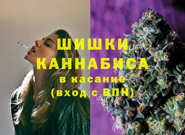 МДПВ Вяземский