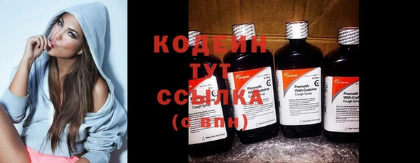 МДПВ Вяземский