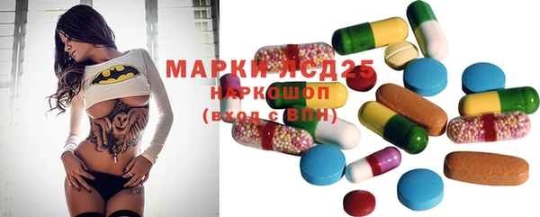 МДПВ Вяземский