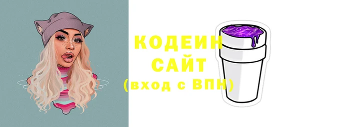 МДПВ Вяземский