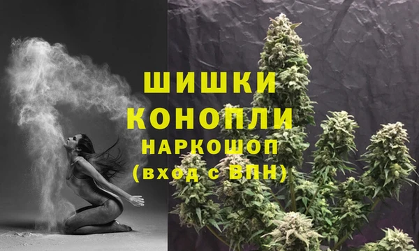 МДПВ Вяземский