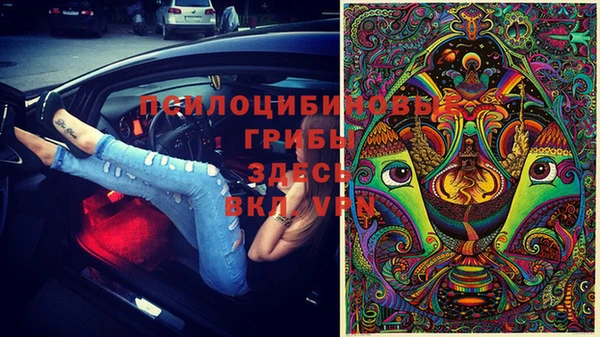 мдпв Волосово